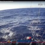 flotilla tracker, global sumud flotilla Gaza, Greta Thunberg, sumud flotilla update, Senator Mushtaq Ahmed, sumud flotilla live, Al Jazeera, flotilla Gaza, global sumud flotilla update, intercepted, global flotilla tracker, global sumud flotilla tracker live, Hamas.